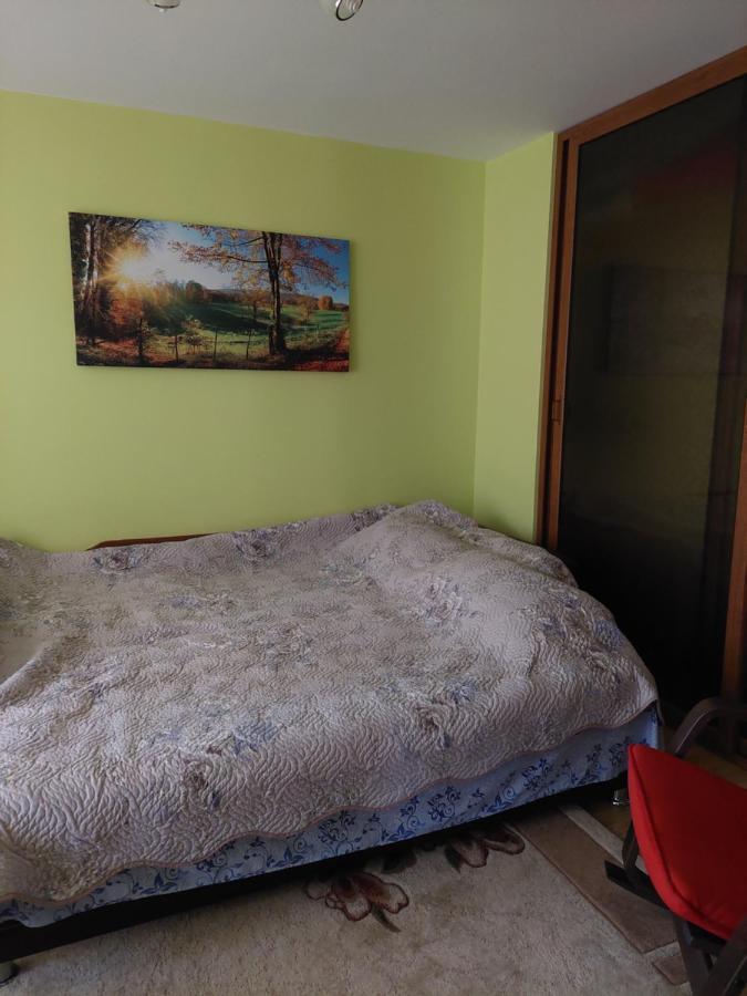 Fely Room Petroşani Buitenkant foto