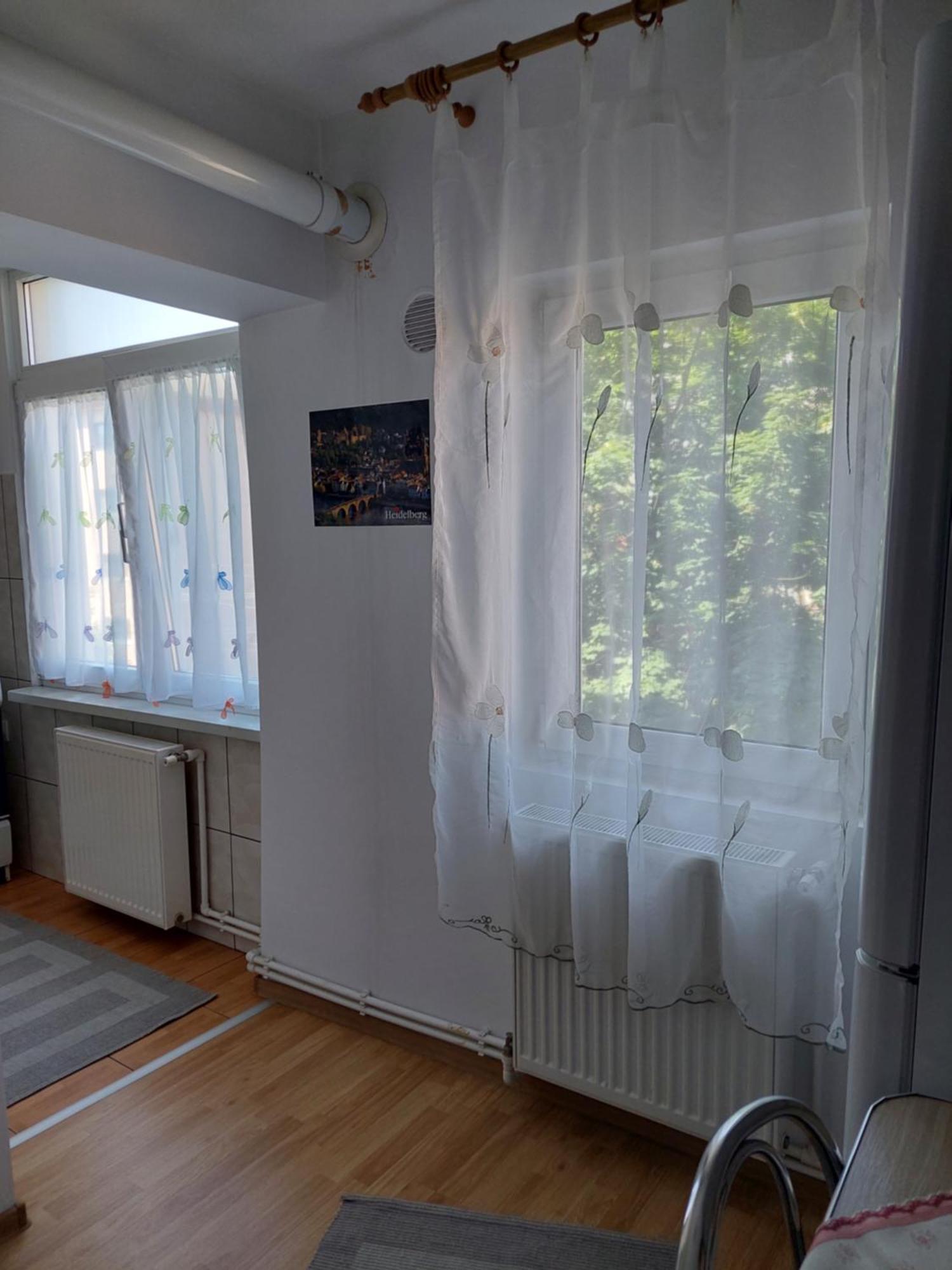 Fely Room Petroşani Buitenkant foto